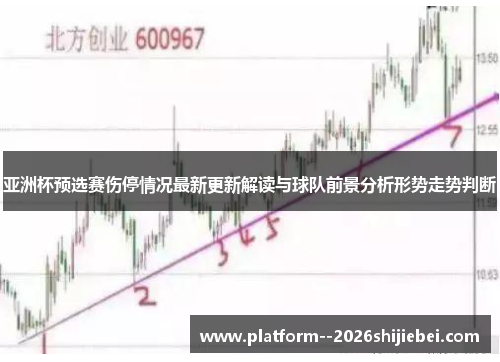亚洲杯预选赛伤停情况最新更新解读与球队前景分析形势走势判断